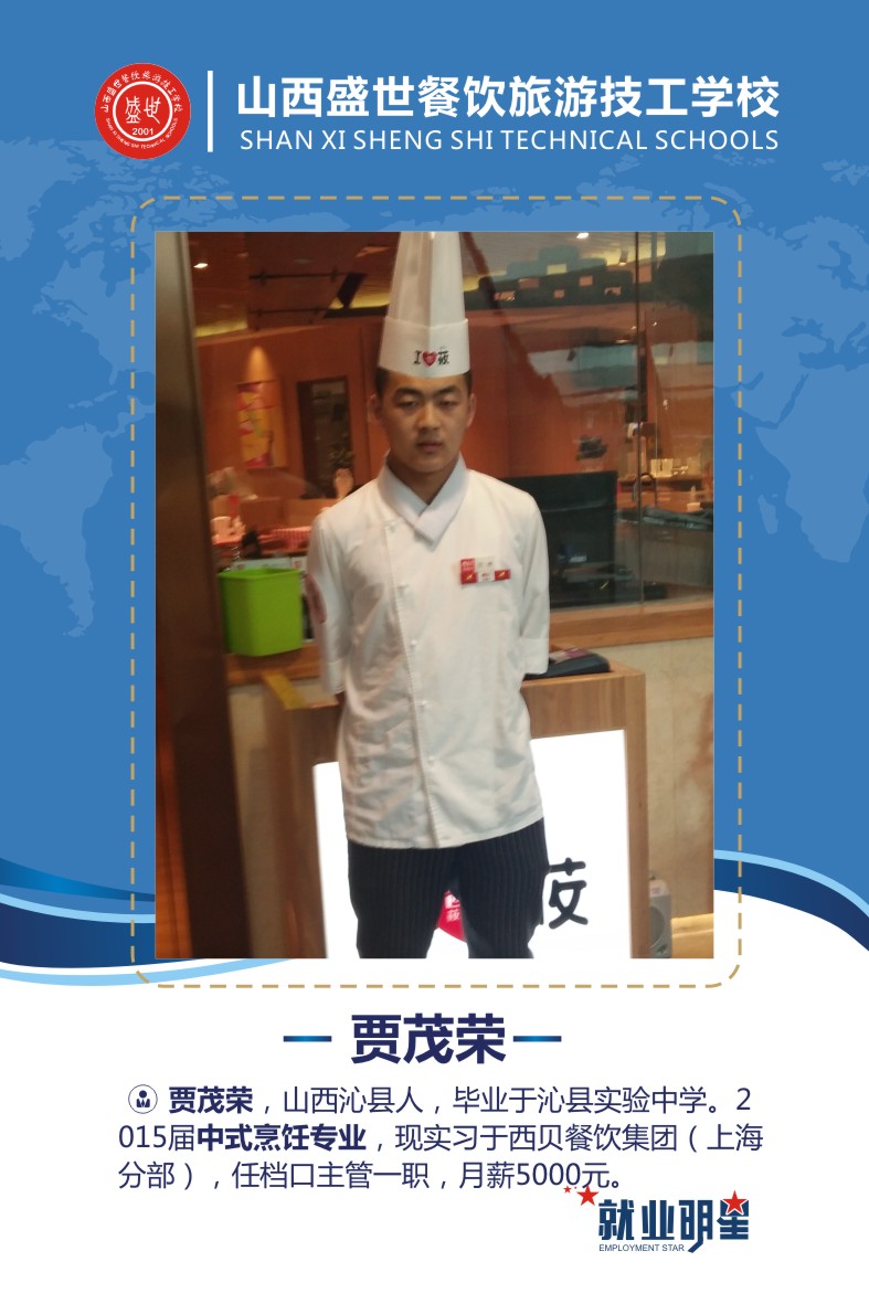 盛世就业明星模板2-15