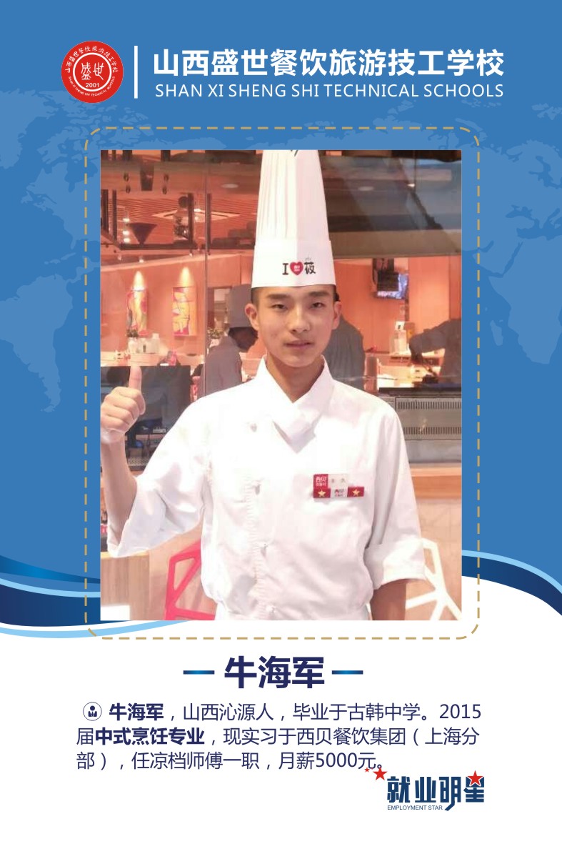 盛世就业明星模板2-24